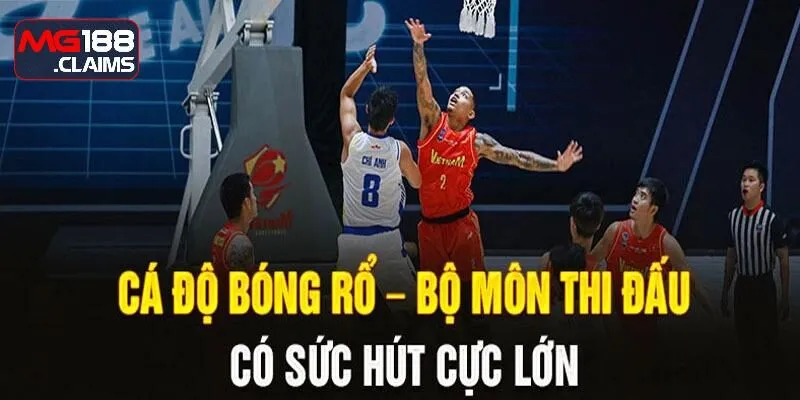 Mẹo đặt kèo Basketball dễ thắng từ cao thủ