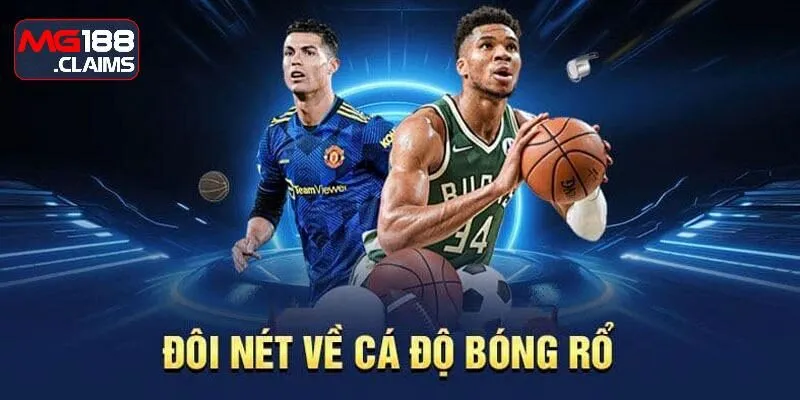 cá cược bóng rổ