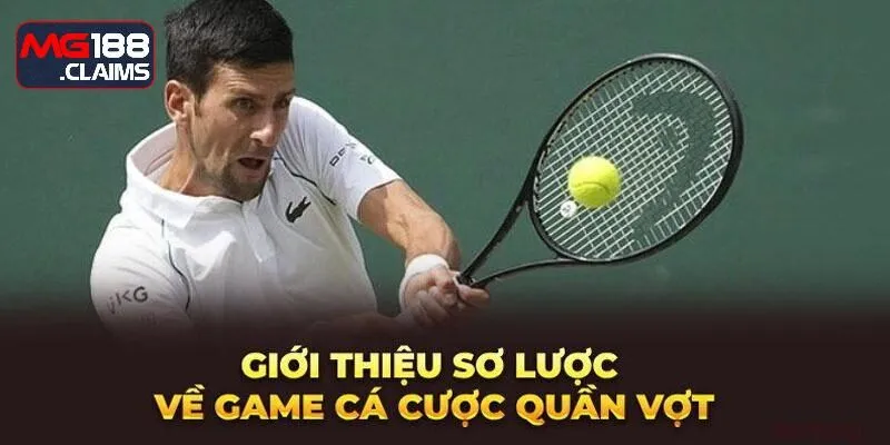 Cá cược Tennis - trò chơi giải trí thể thao đẳng cấp