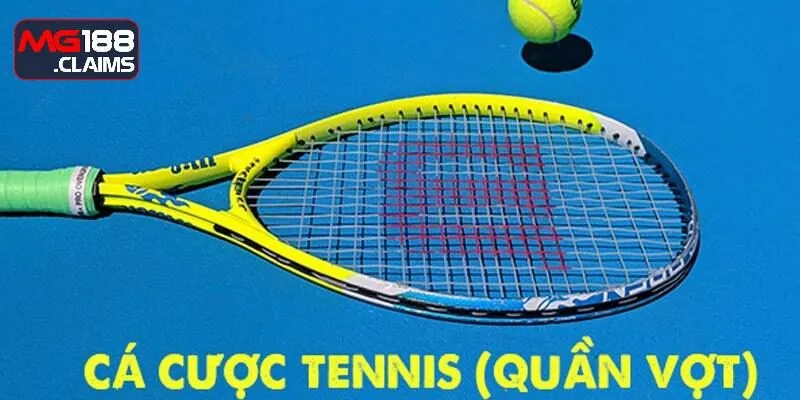 Tips chơi kèo cá độ quần vợt hiệu quả nhất