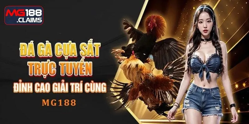 đá gà cựa sắt