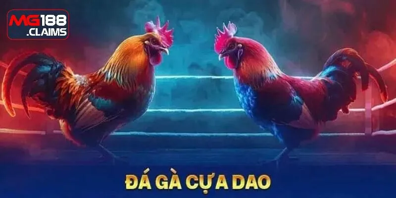 đá gà cựa dao