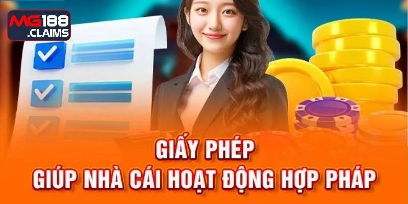 Các loại giấy phép hoạt động tại Mg188